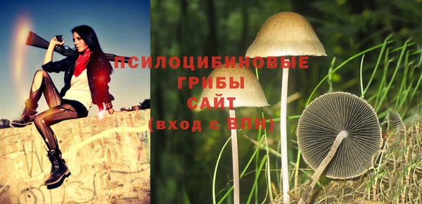 эйфоретик Карталы