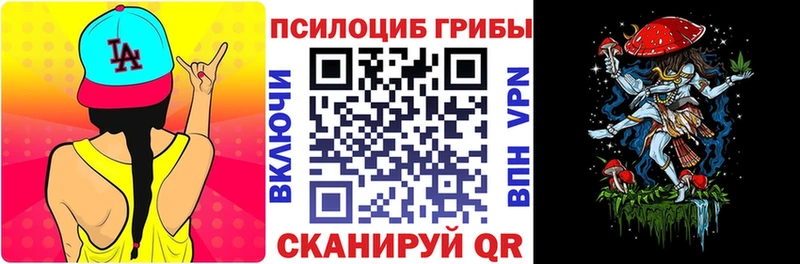Галлюциногенные грибы Psilocybe  Купить закладки  Великий Устюг 